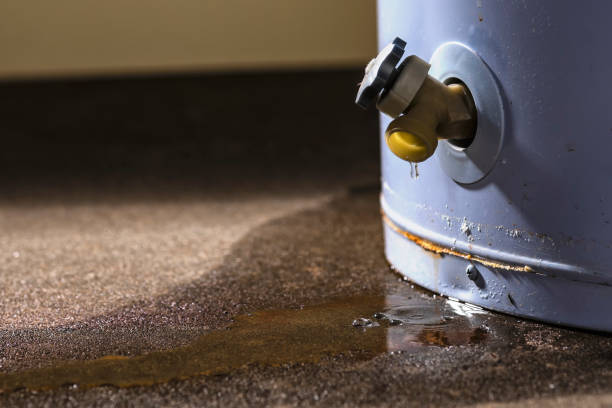 Best Local water damage restoration  in Marvin, NC