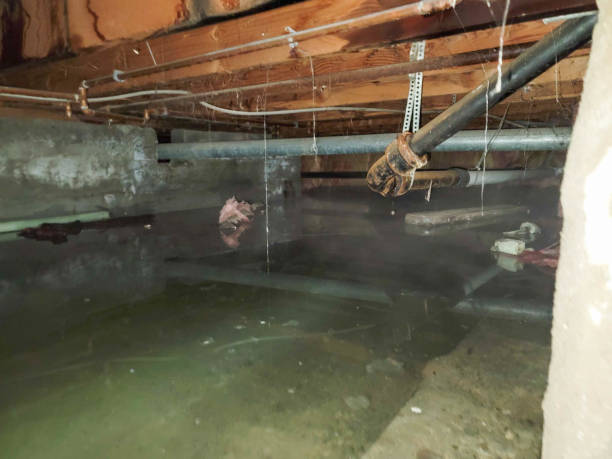 Best Sewage cleanup and water damage restoration  in Marvin, NC