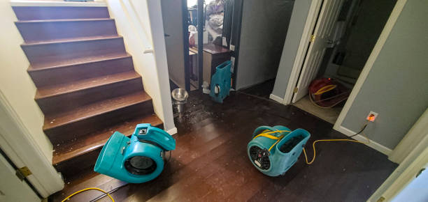 Best Water damage restoration near me  in Marvin, NC