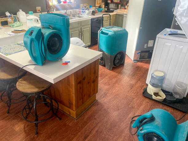 Best Mold removal after water damage  in Marvin, NC