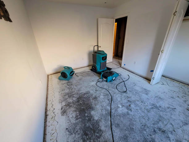 Best Flood damage cleanup  in Marvin, NC
