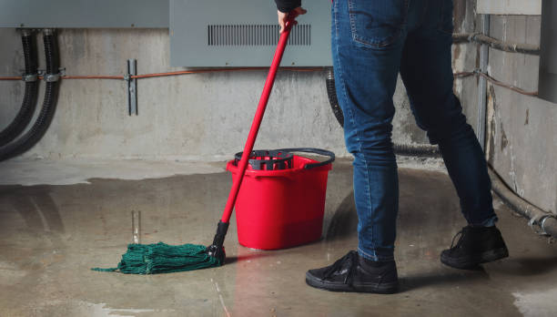 Best Water damage restoration experts  in Marvin, NC