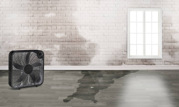 Best Water damage restoration near me  in Marvin, NC