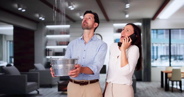 Best Basement water damage restoration  in Marvin, NC